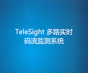 TeleSight ·ʵʱϵͳ