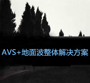 AVS+沨
